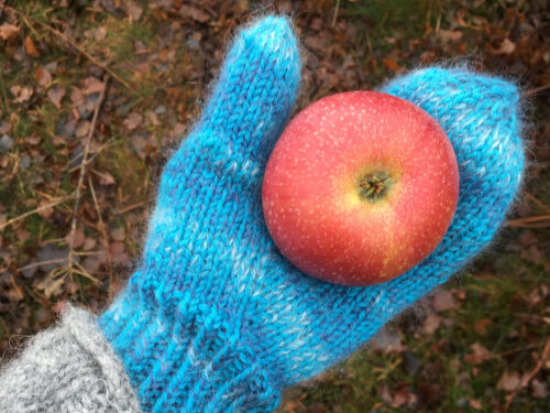 En rundstickad vante med äpple